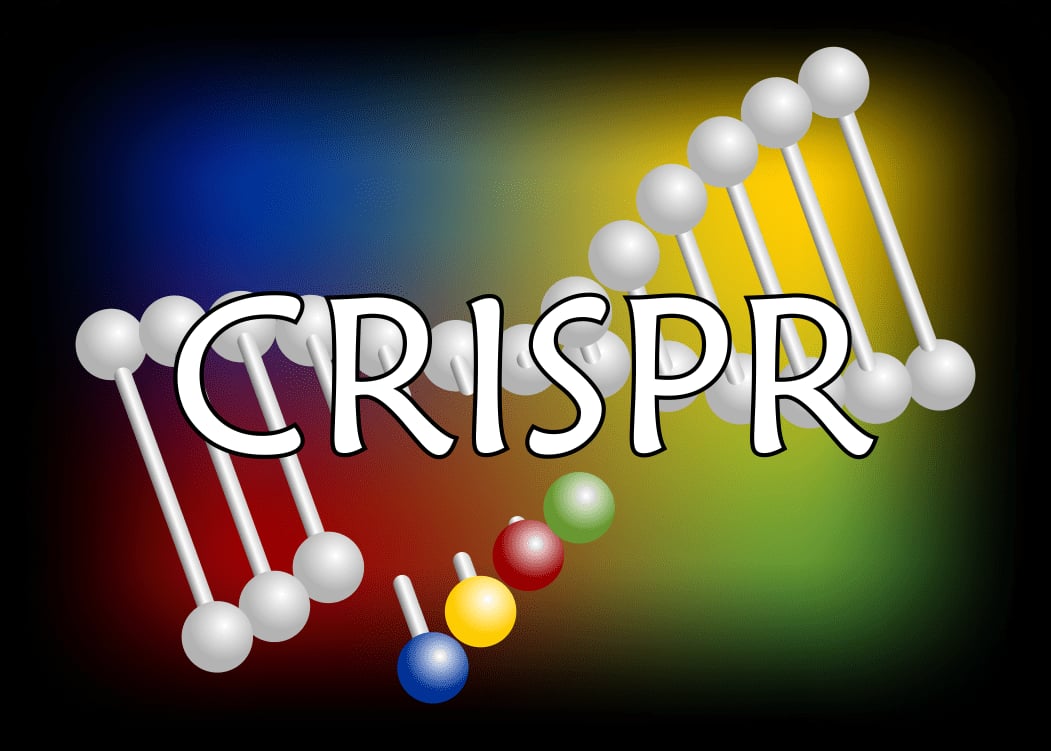 CRISPR