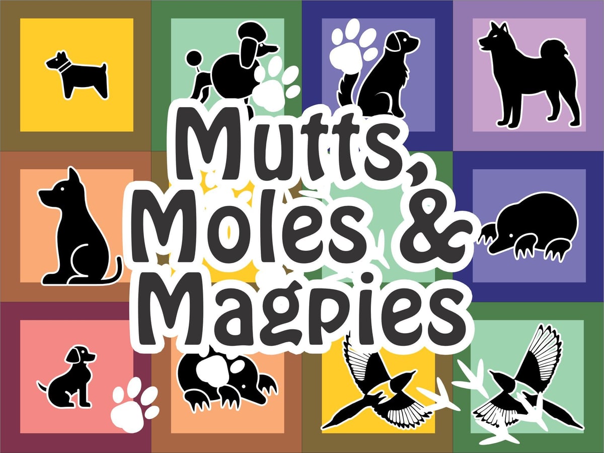 Mutts, Moles and Magpies
